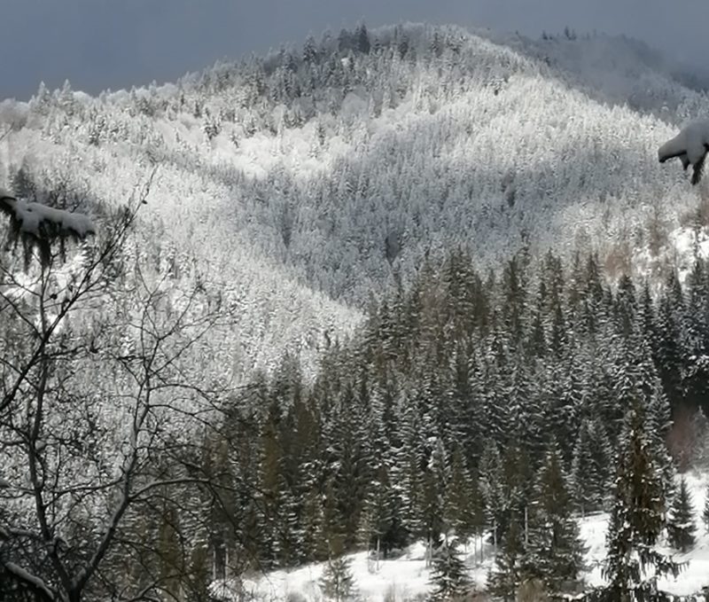 Meteorologii și hidrologii au emis atenționări de vreme rea și risc de inundații