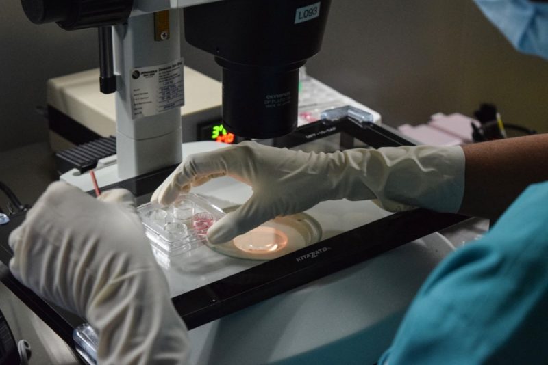 Studiu la Tg. Mureș: fertilitatea, afectată de infecția cu SARS-CoV-2
