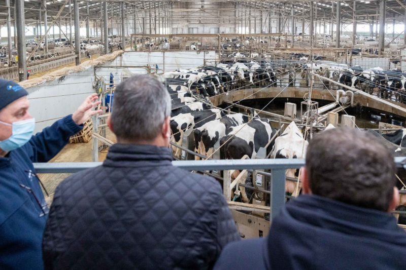 Angajații din agricultură, afectați de eliminarea unor facilități fiscale Angajații din agricultură, afectați de eliminarea unor facilități fiscale