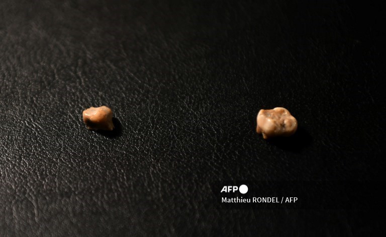 În Franța s-au găsit dovezi ale primului Homo sapiens din Europa