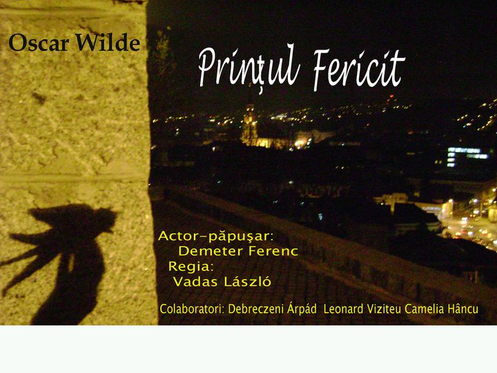 Teatru de păpuși pentru copii cu dizabilități din Albești și Mediaș