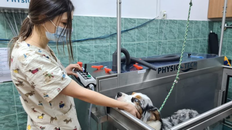 Cluj: Bazin de hidroterapie, pentru afecţiunile animalelor