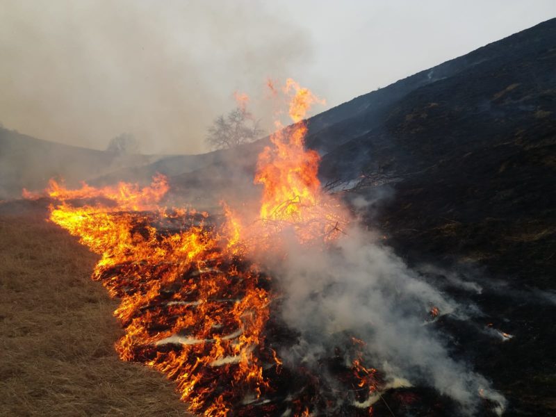 Incendiu de vegetație la Stejăreni, comuna Daneș