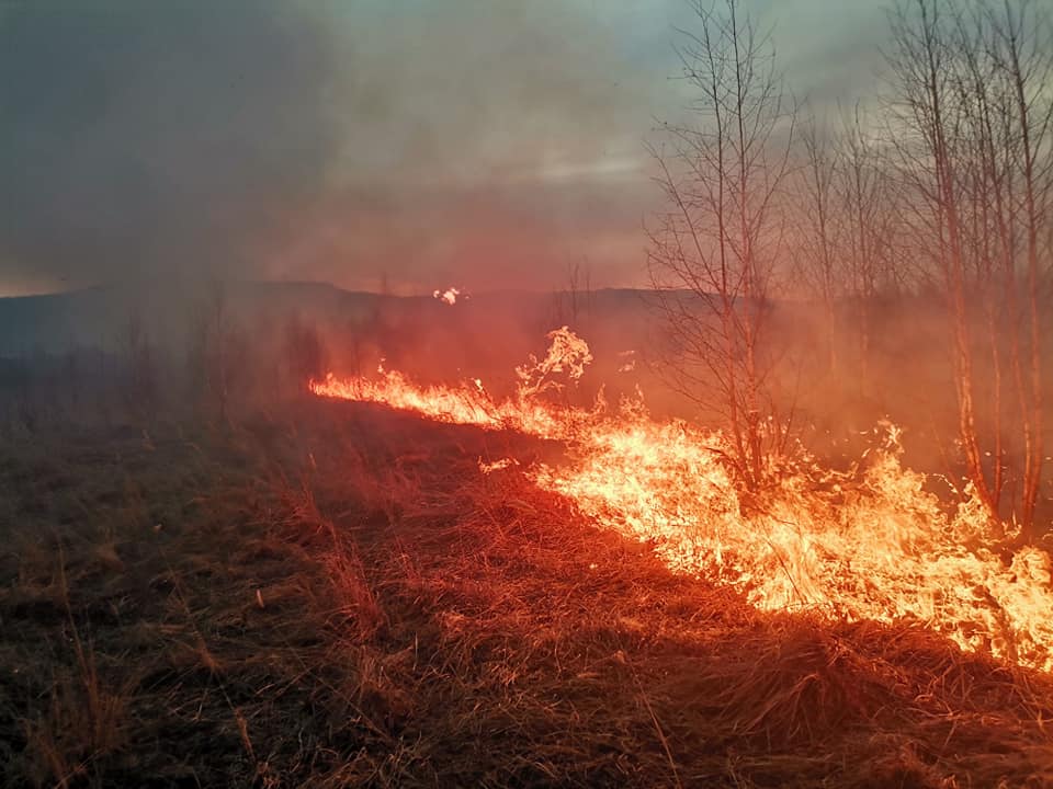 Harghita: Aproximativ 70 de hectare de teren, afectate de un incendiu de vegetaţie uscată în localitatea Joseni
