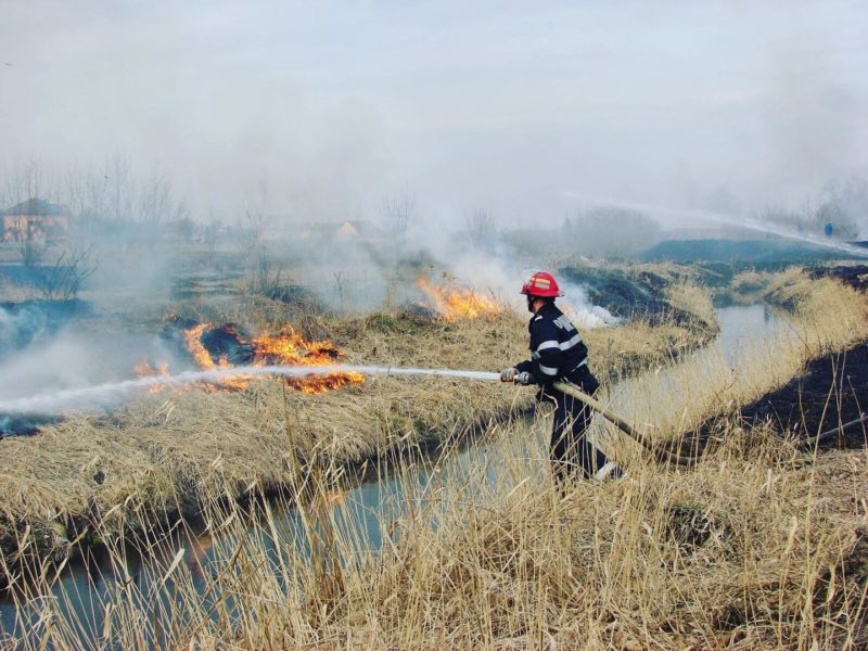Braşov: A crescut numărul incendiilor de vegetaţie uscată, avertizează pompierii militari