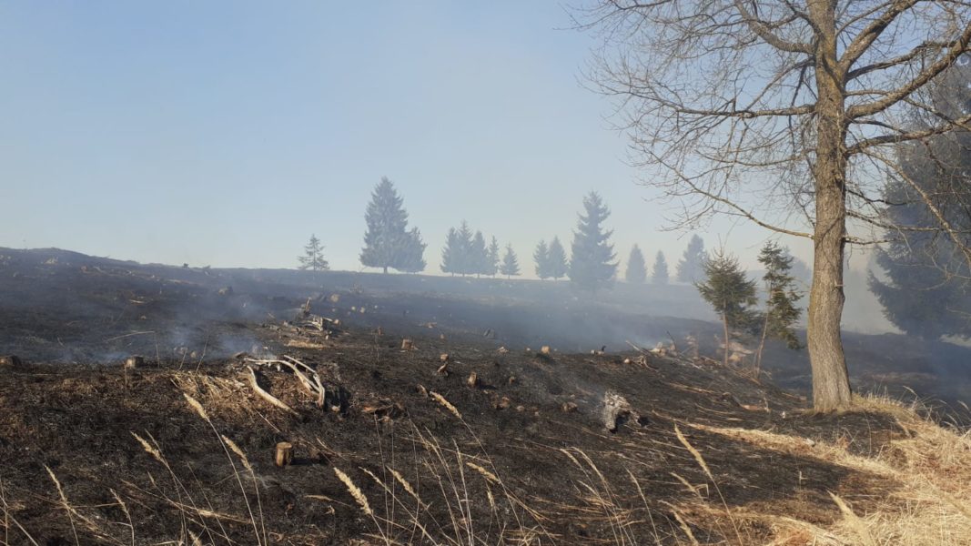 UPDATE: Incendiul de la Gălăuţaş, stins după o intervenţie de patru ore