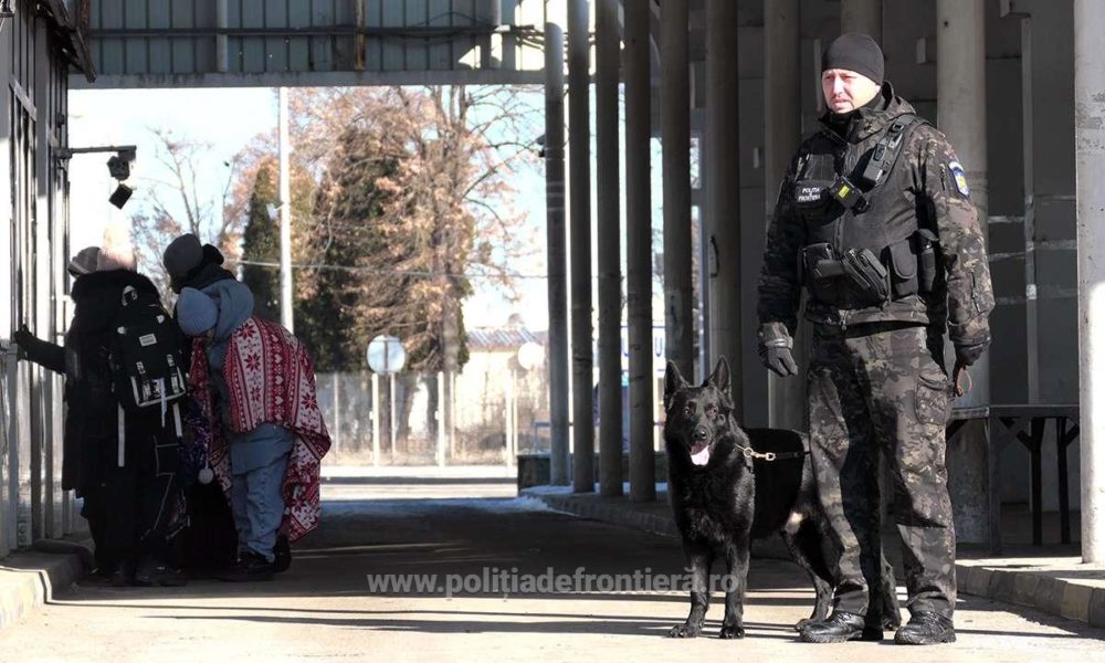 4.137 de ucraineni au solicitat azil în România, de la începutul războiului