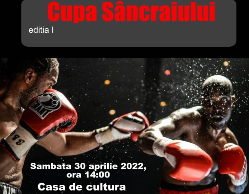 Cupa Sâncraiului la box