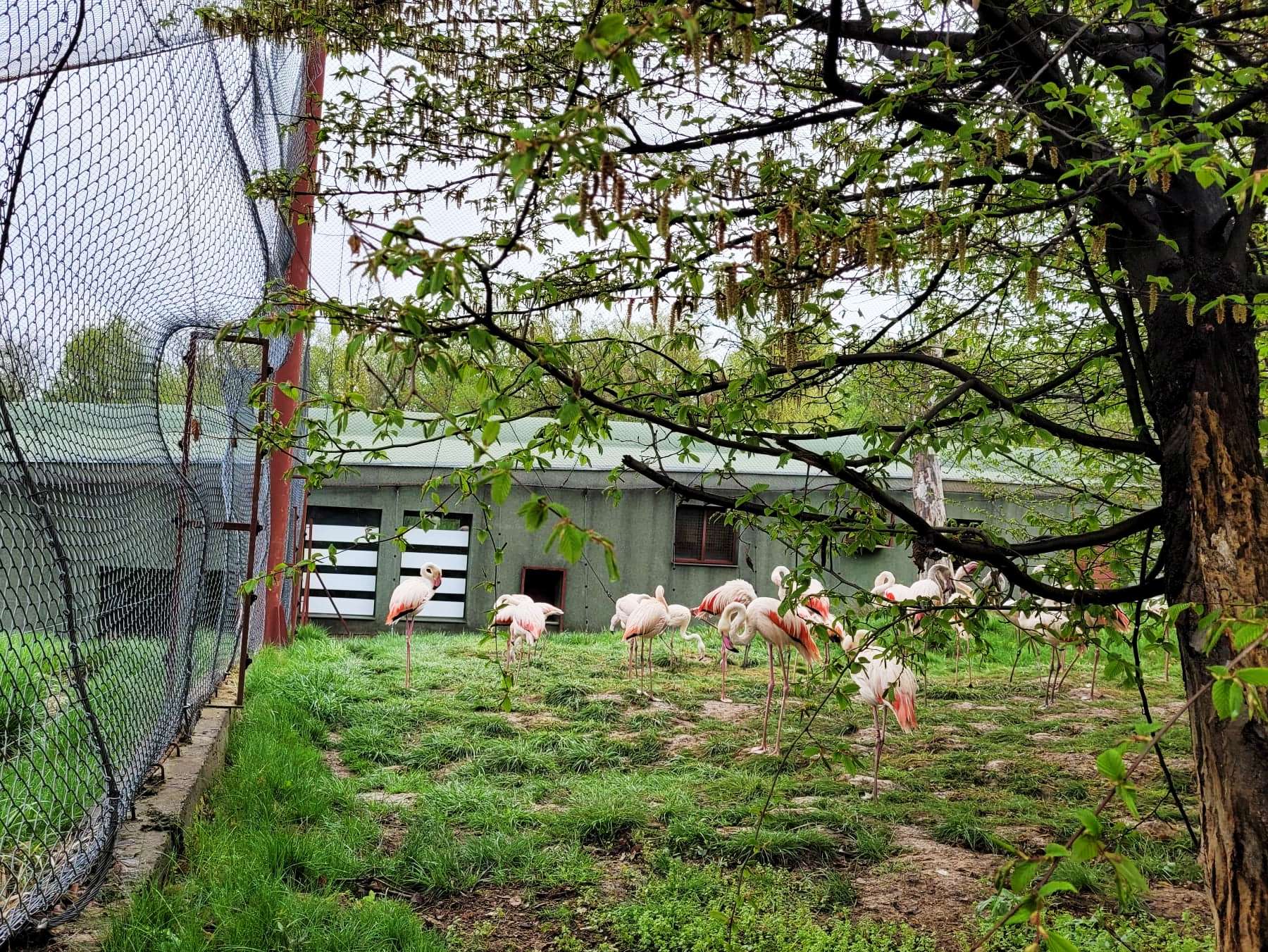 Grădina Zoologică din Târgu Mureș își deschide porțile pentru copiii cu dizabilități