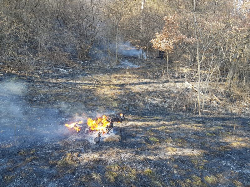 În Harghita, ieri, peste 50 de hectare de vegetaţie au fost distruse de incendii