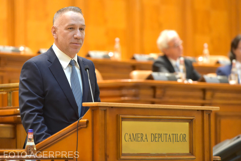 Parlamentul i-a validat pe Bogdan Licu şi Iulia Scântei judecători la Curtea Constituţională