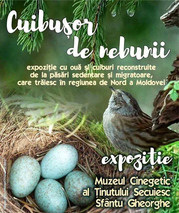 Muzeul Cinegetic din Sfântu Gheorghe găzduieşte expoziţia ‘Cuibuşor de nebunii’
