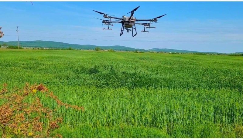 Noi fragmente de drone au fost descoperite în judeţul Tulcea