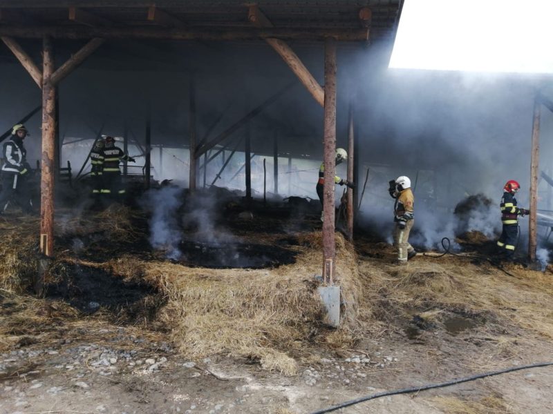 Incendiu la un saivan de animale din localitatea mureșeană Șardu Nirajului