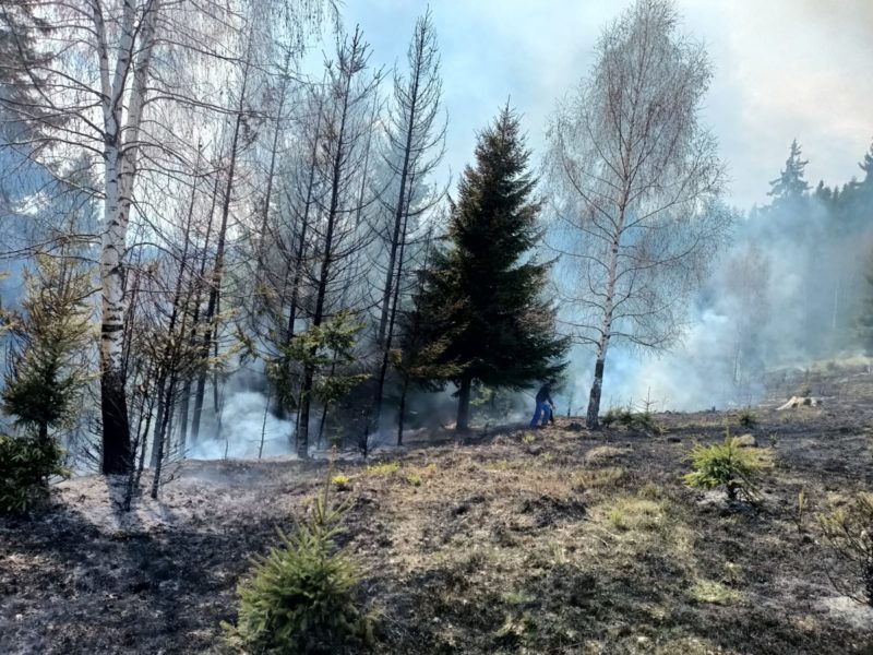 Aproximativ 300 de hectare, afectate de un incendiu de vegetaţie uscată, în comuna harghiteană Ciucsângeorgiu