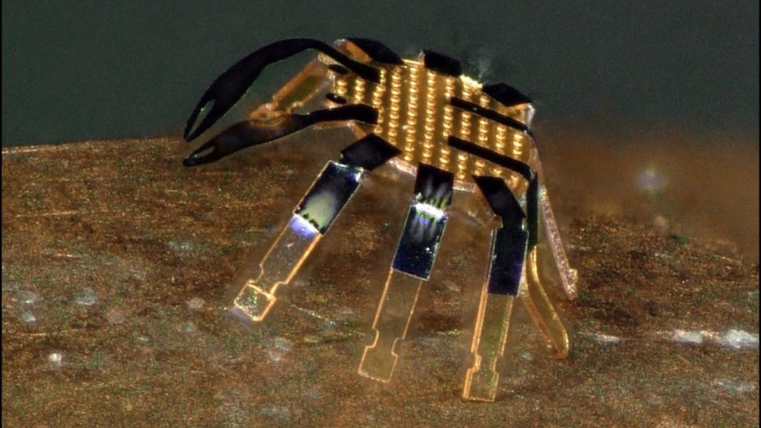 În SUA a fost construit un robot mai mic decât un purice