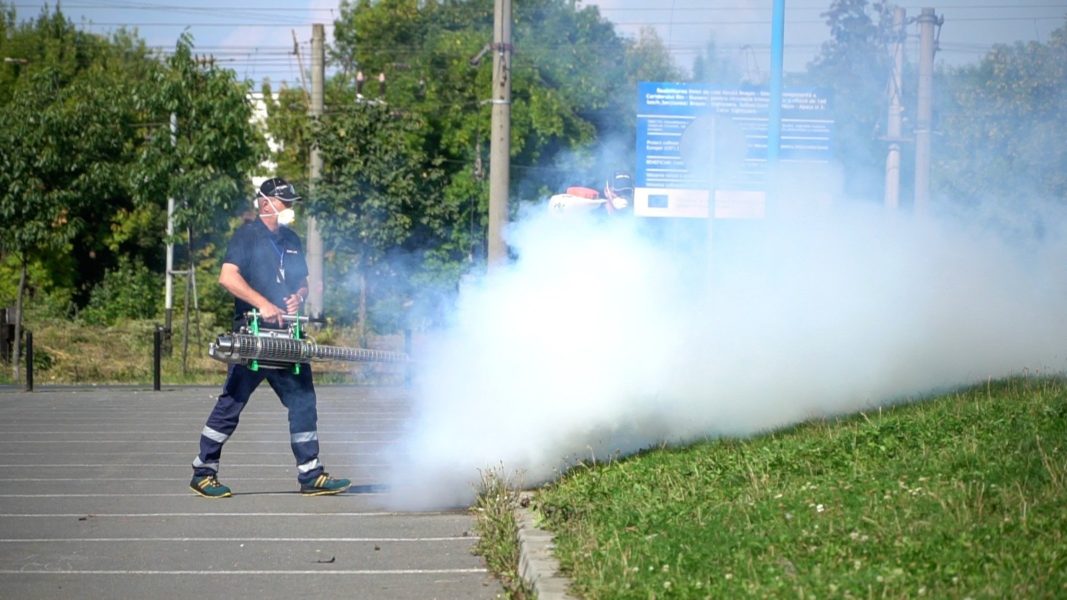 O nouă campanie de dezinsecţie în Braşov