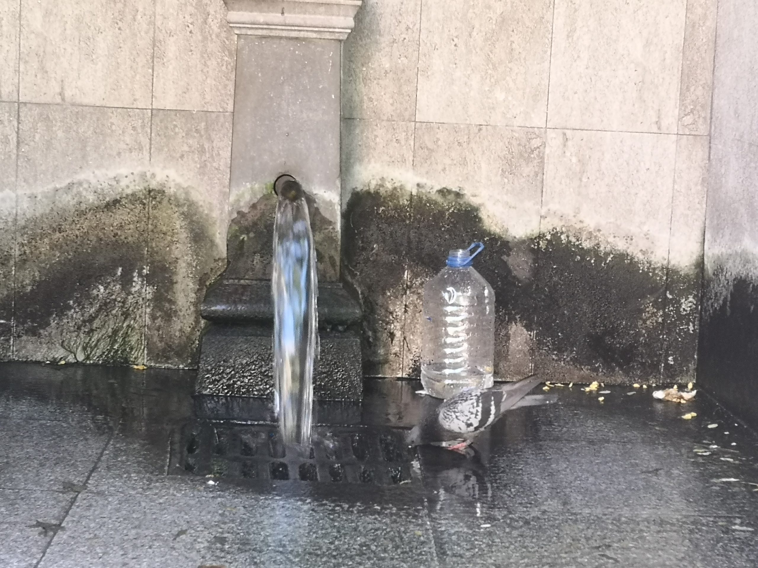 Doar 9 izvoare din județul Mureș au apă potabilă Doar 9 izvoare din județul Mureș au apă potabilă