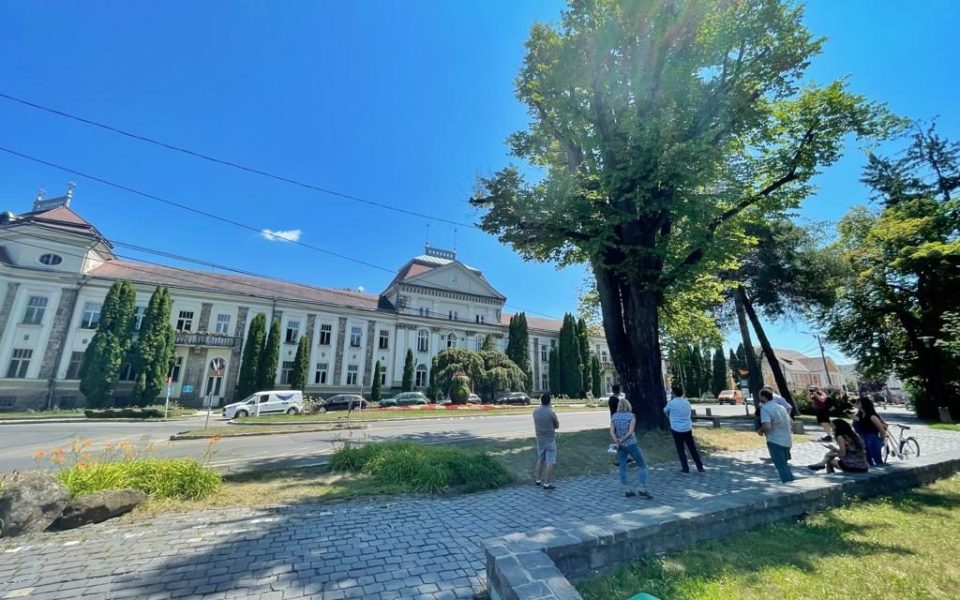 Harghita: Proiect de cartografiere a 500 de arbori speciali din Miercurea-Ciuc şi de elaborare a unei aplicaţii mobile