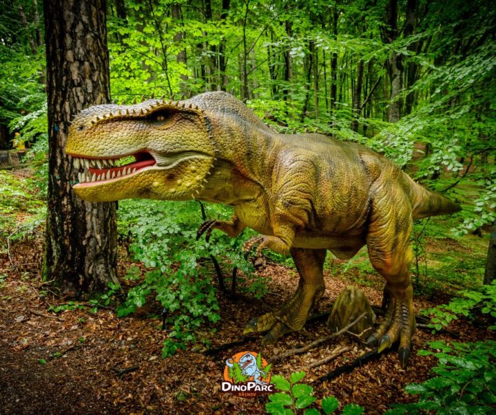 Activități distractive pentru cei mici, la Dino Parc Râșnov, în minivacanța de Sfânta Maria