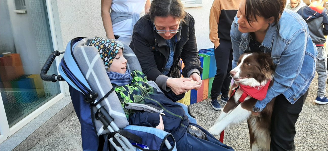 Mureş: Aproape 20 de copii cu dizabilităţi multiple şi severe, beneficiari ai terapiei asistate de animale la Fundaţia Transilvană Alpha