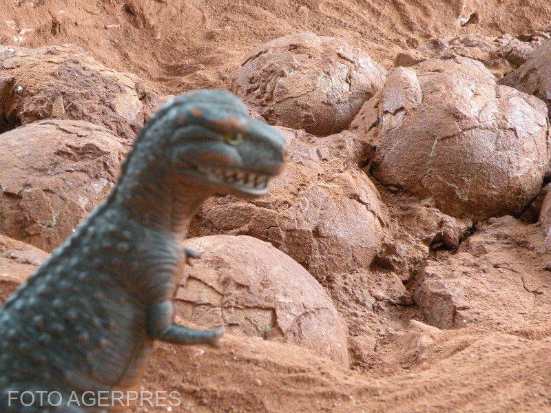 O nouă specie de dinozaur care a trăit pe actualul teritoriu al Geoparcului Internațional UNESCO, Țara Hațegului, a fost descoperită de o echipă internațională de paleontologi