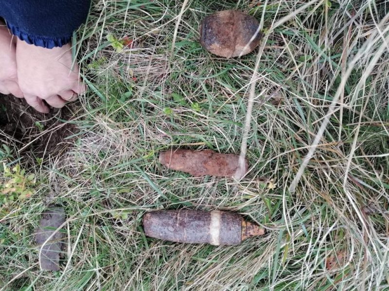 Harghita: Elemente de muniţie din Al Doilea Război Mondial, descoperite de un detectorist pe raza localităţii Sânmartin