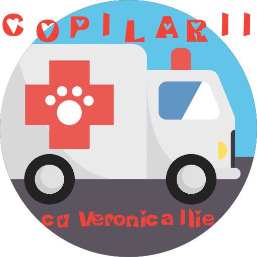 Copilării, cu Veronica Ilie – Mașinile orașului