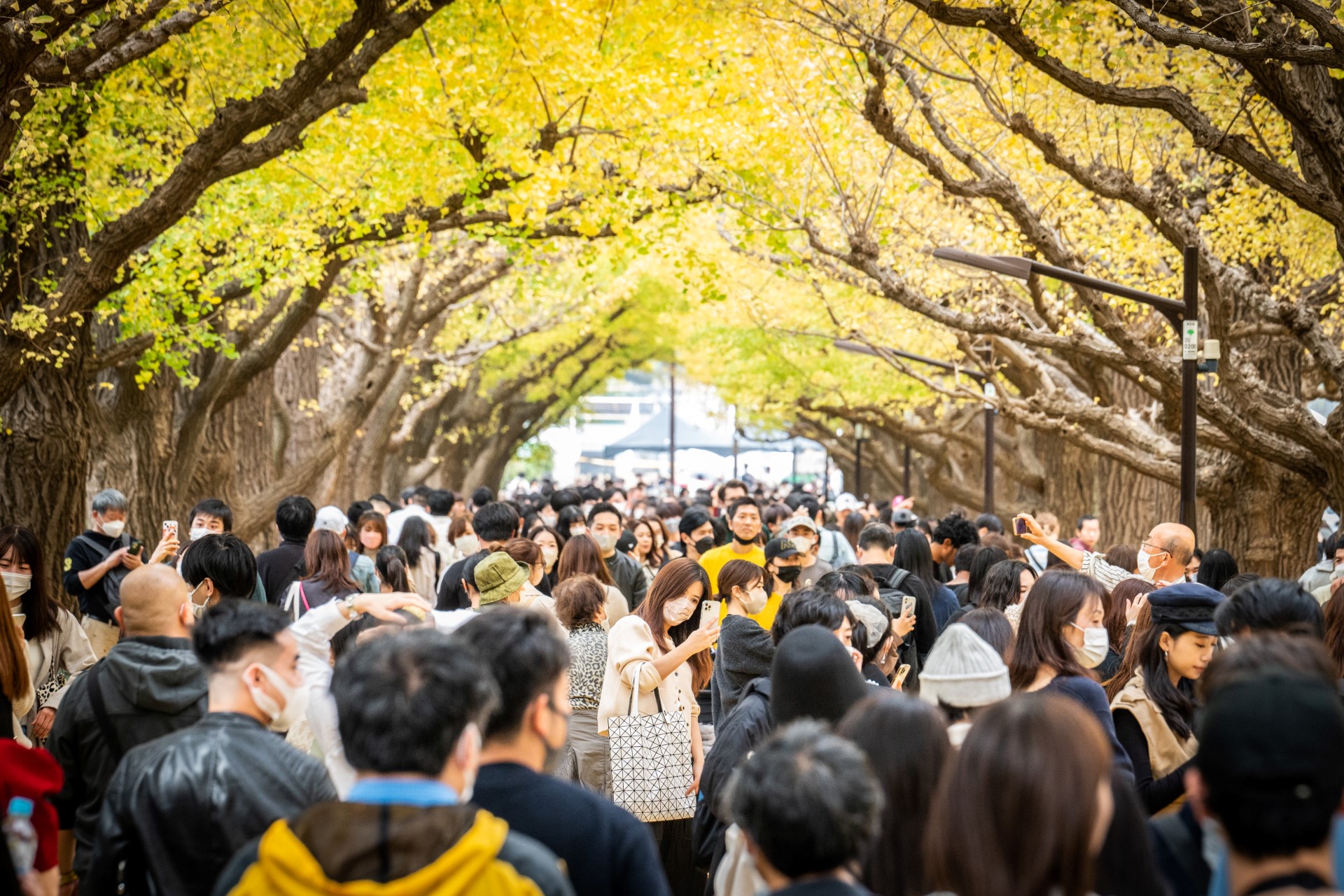 Locuitorii din Tokyo au fost îndemnați să poarte guler la haine pentru reduce consumul de energie