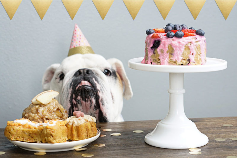 Pet Blitz | Câteva retete de gustari si torturi delicioase pentru blănosul nostru