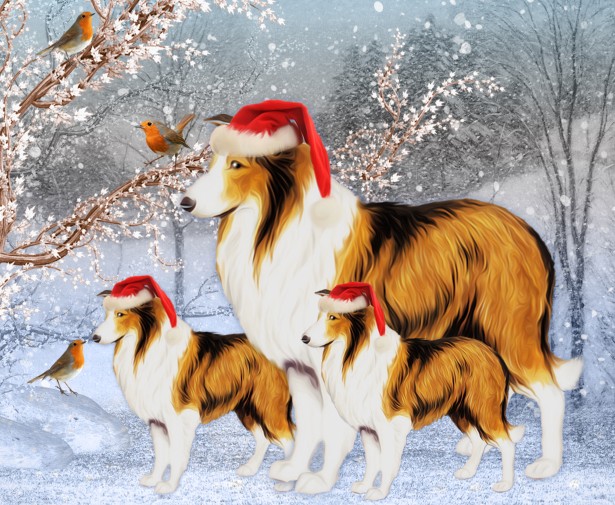 Pet Blitz | Calendar de advent pentru blănosul tău
