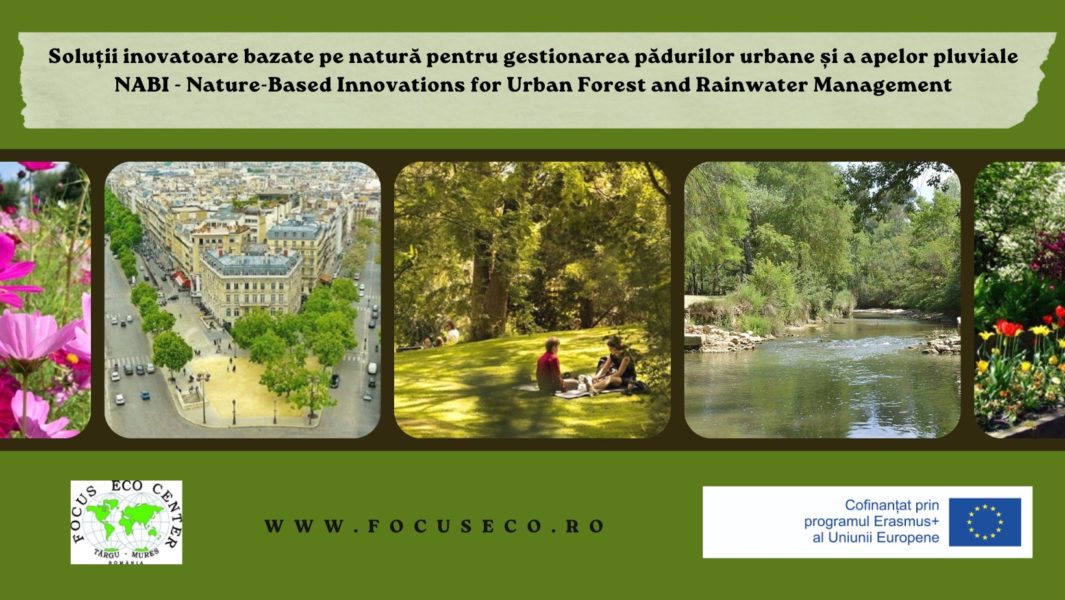 Focus Eco Center vrea pădure urbană și grădini comunitare la Tg.Mureș