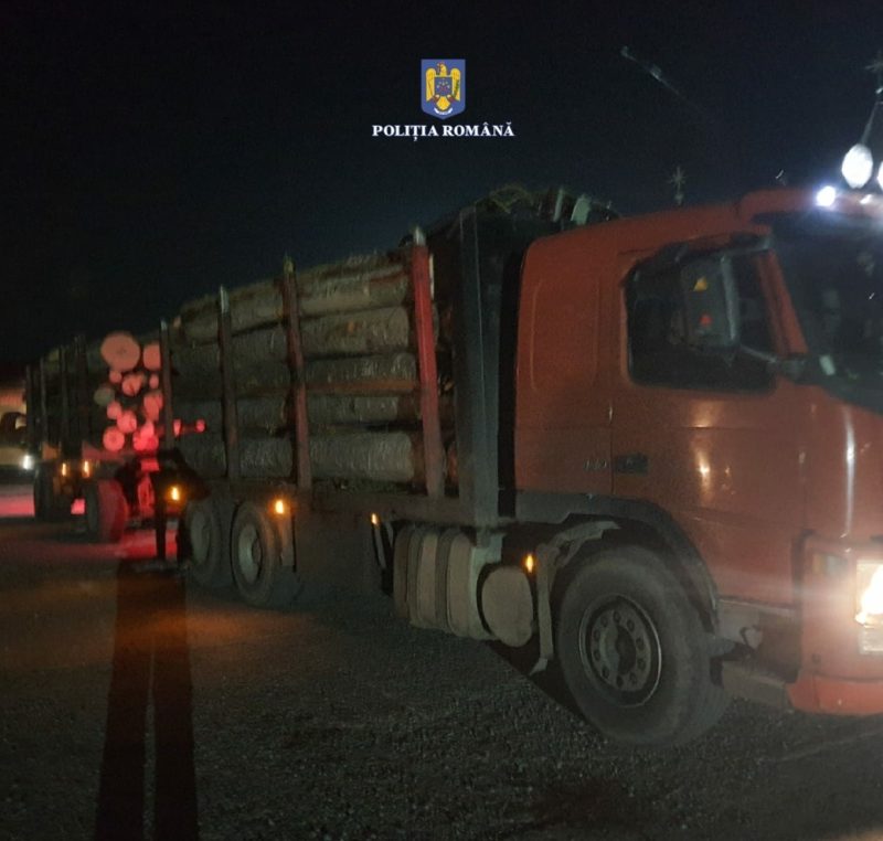 Dosar penal pentru un bărbat din Harghita, care transporta material lemnos fără documente specifice