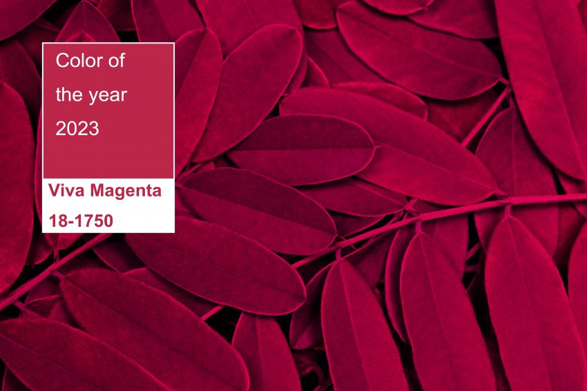 Culoarea anului 2023 este Viva Magenta