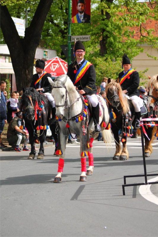 ‘Tradiţia creşterii cailor de rasă lipiţană din România’ inclusă în Lista Reprezentativă a Patrimoniului Cultural Imaterial al Umanităţii a UNESCO