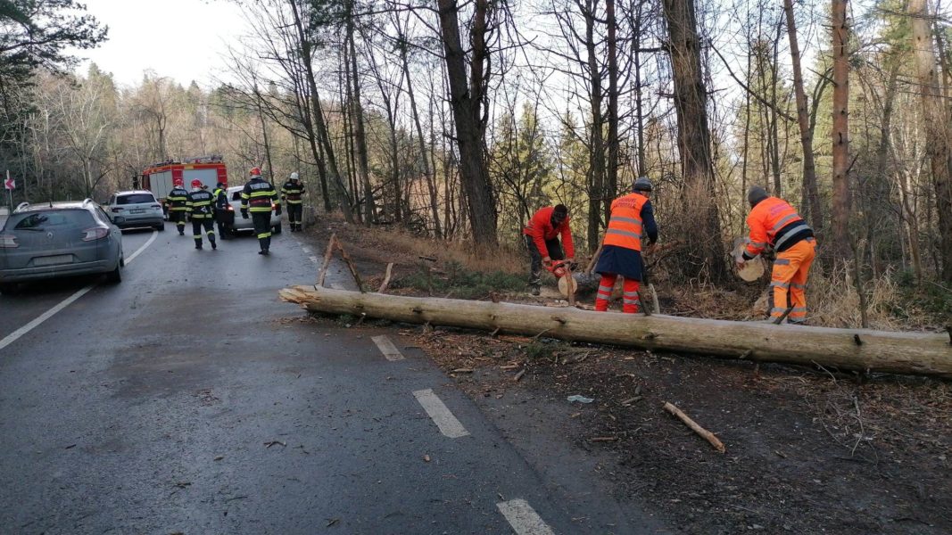 Traficul pe mai multe drumuri din judeţul Braşov, din zona montană, a fost blocat în ultimele două zile de arbori doborâţi de vânt