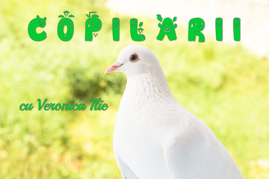 Copilării, cu Veronica Ilie – Prietenia cu porumbeii Copilării, cu Veronica Ilie – Prietenia cu porumbeii