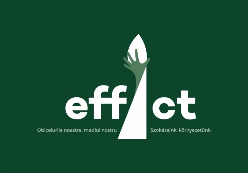 Biroul pentru Tineret din Sfântu Gheorghe reia programul effAct