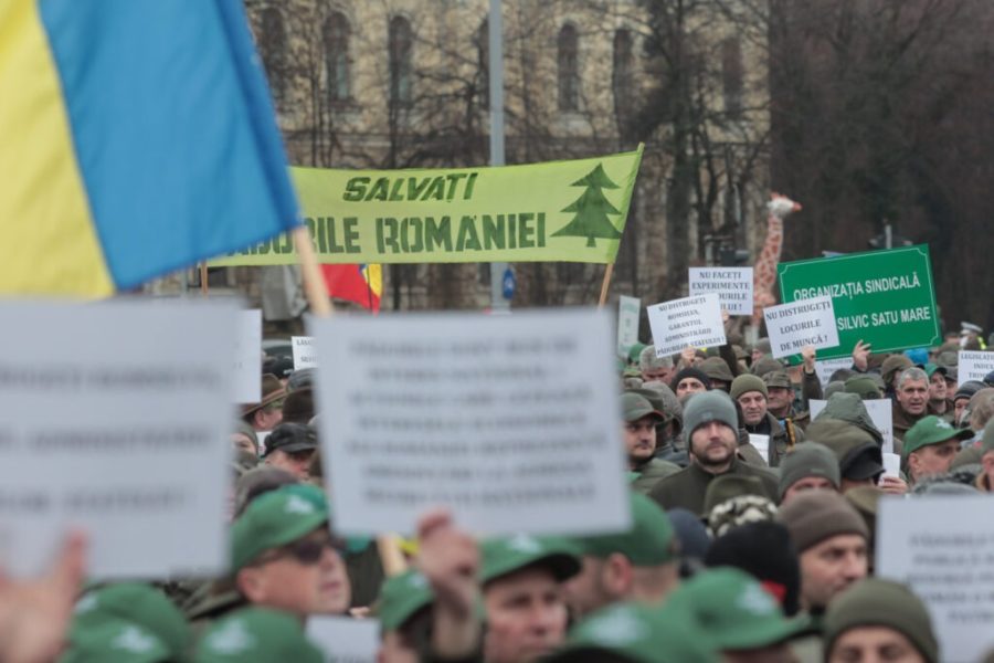 Mii de angajaţi din silvicultură au protestat, ieri, în faţa Guvernului împotriva reorganizării Romsilva