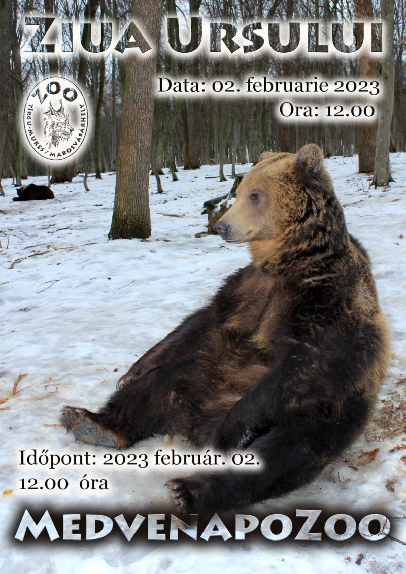 Invitație la Grădina Zoo din Târgu Mureș: anunțul meteo pentru anul 2023 al lui Moș Martin!