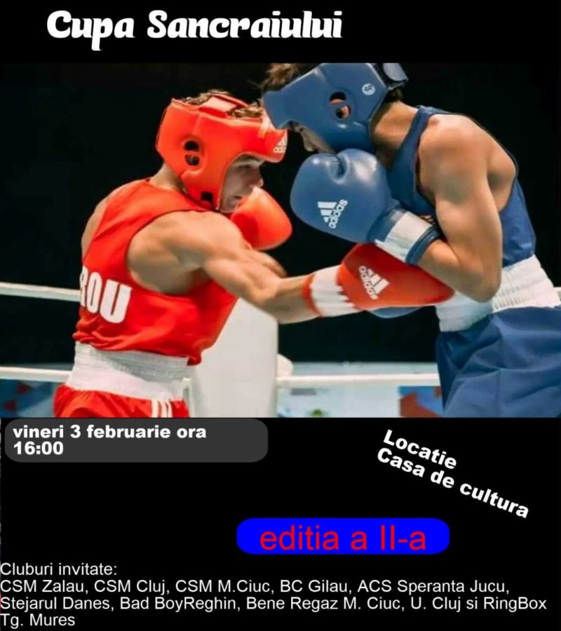 Cupa Sâncraiului la box
