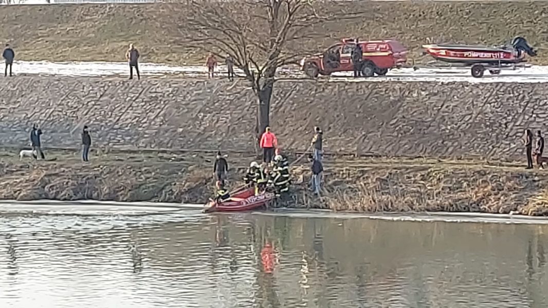 (VIDEO) Cățel salvat de pompieri din apele înghețate ale Mureșului
