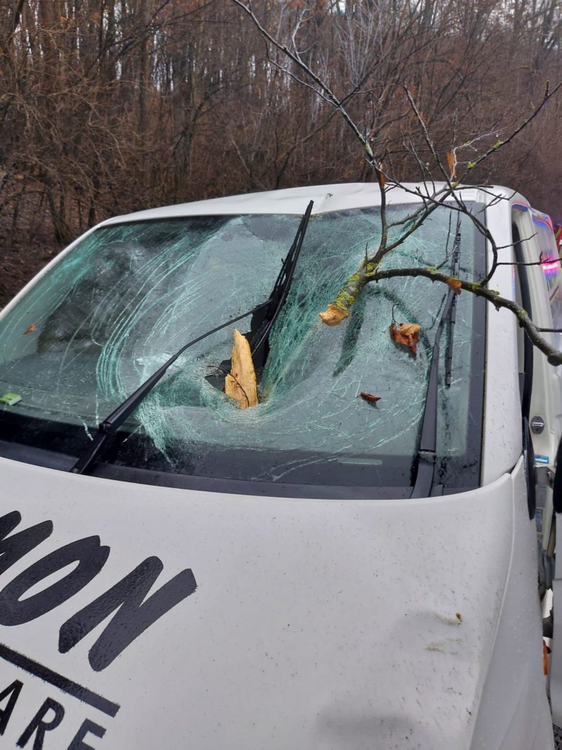 Copac căzut peste o mașină aflată în trafic în Sighișoara