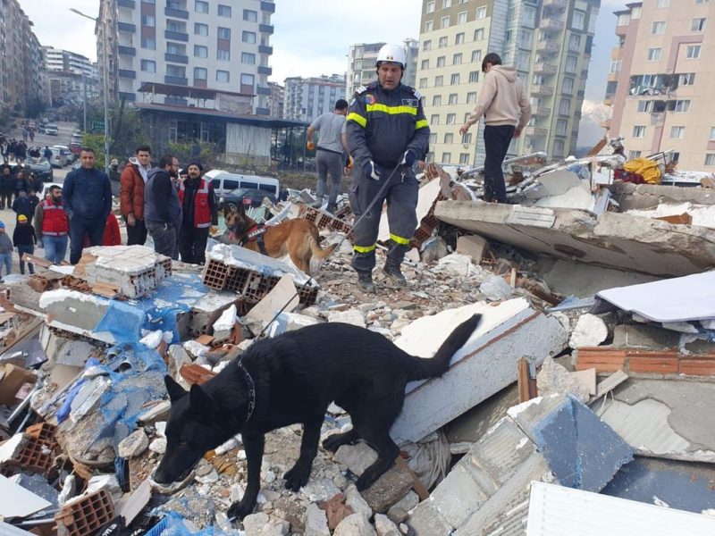 România va trimite în Turcia încă o echipă de salvatori și personal specializat cu echipe canine