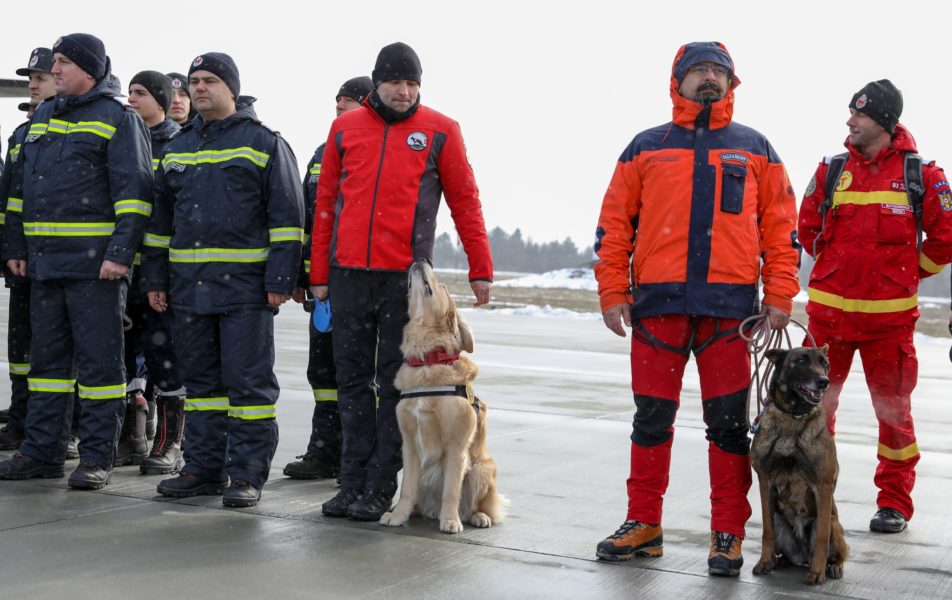 Pet Blitz | Garda de elită a câinilor din România salvează vieți în Turcia