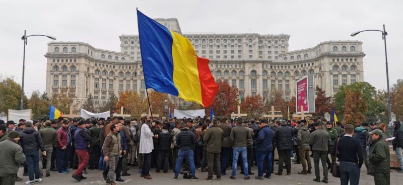 Protest de amploare al Federației Sindicatelor din Silvicultură, în fața Senatului