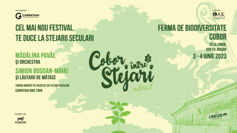 „Cobor între stejari”, un nou festival dedicate naturii din Transilvania