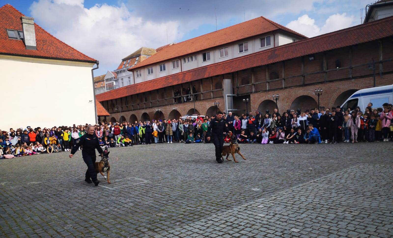 Demonstrații spectaculoase de Ziua Poliției, la Tg. Mureș