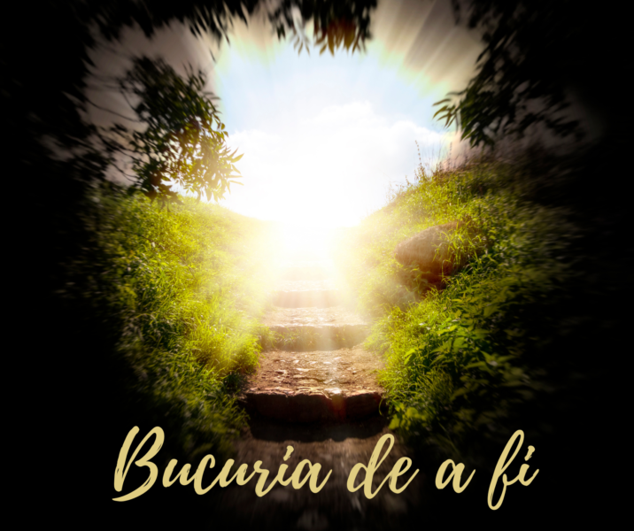 Bucuria de a fi | Cineva acolo sus