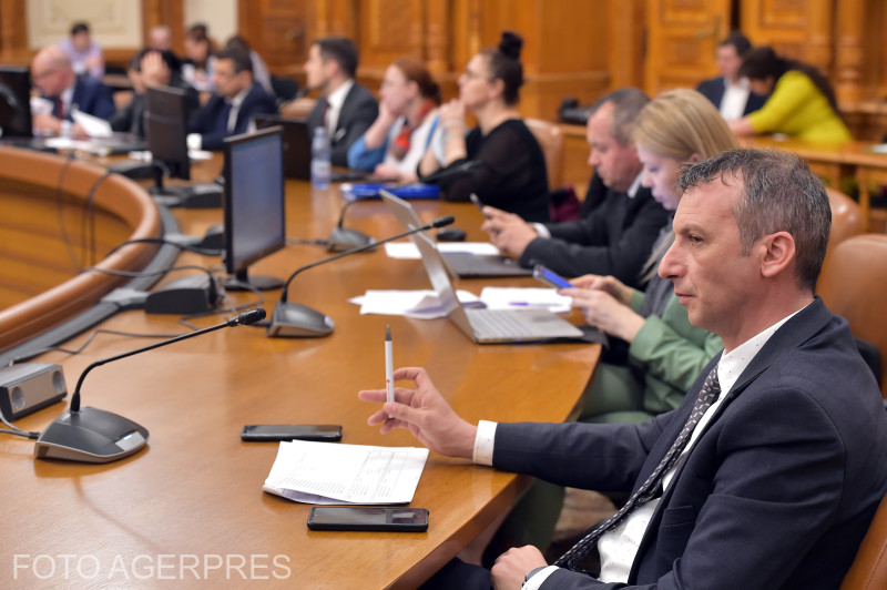 Aviz favorabil pentru Codul Penal şi cel de Procedură Penală din partea Comisiei juridice a Camerei Deputaţilor